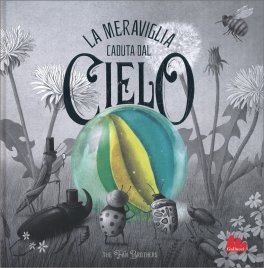 La Meraviglia Caduta dal Cielo — Libro - 1