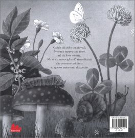 La Meraviglia Caduta dal Cielo — Libro - 2