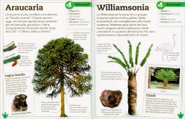 La Mia Prima Enciclopedia di Dinosauri e Preistoria — Libro - 4