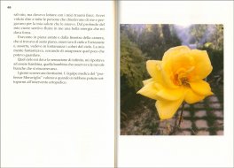 La Mia Rinascita — Libro - 3