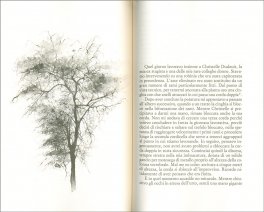 La Mia Vita con gli Alberi — Libro - 3