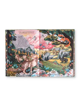 La Montagna Segreta — Libro - 2