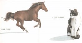 La Mucca Guarda — Libro - 3