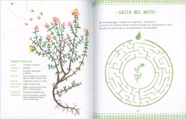 La Nascita dei Fiori — Libro - 3