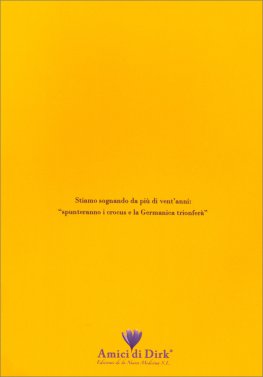La Nuova Medicina Germanica in Breve  — Libro - 2
