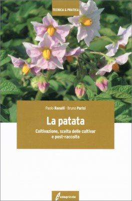 La Patata — Libro - 1