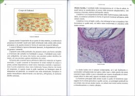 La Pelle - Anatomia — Libro - 3