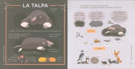 Conoscere e Proteggere la Piccola Fauna Urbana — Libro - 2