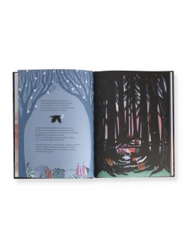 La Piccola Strega della Brughiera — Libro - 2