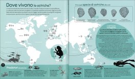 La Prima Ostrica — Libro - 3