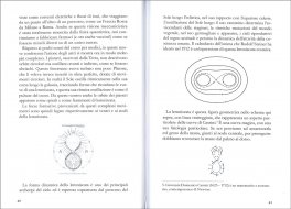 La Primavera dopo l'Anno con Tredici Lune — Libro - 3