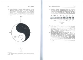La Radiestesia Applicata alla Medicina — Libro - 3