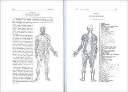La Radiestesia Applicata alla Medicina — Libro - 4