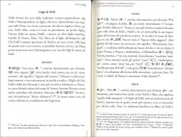 La Regalità degli Dei — Libro - 3