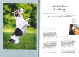 La Resilienza nei Cani — Libro - 3