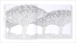 La Saggezza degli Alberi — Libro - 3