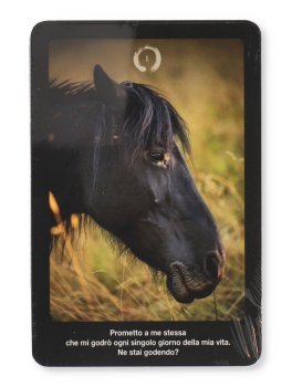 La Saggezza dei Maestri - Essenza & Cavalli - 3