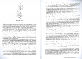 La Salute dalla Farmacia del Signore — Libro - 3