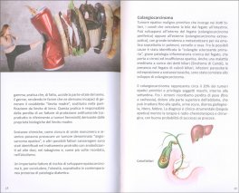 La Salute del Fegato — Libro - 3
