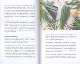 La Salute del Fegato — Libro - 4