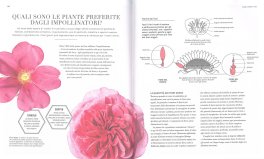 La Scienza del Giardinaggio — Libro - 3