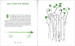 La Scimmietta Nuda — Libro - 3
