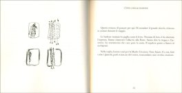 La Specie Storta — Libro - 3