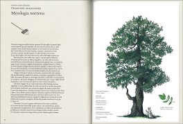 La Storia degli Alberi e di Come Hanno Cambiato il Nostro Modo di Vivere — Libro - 4