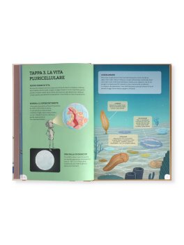 La Storia della Terra — Libro - 3
