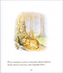 La Storia di Peter Coniglio — Libro - 3