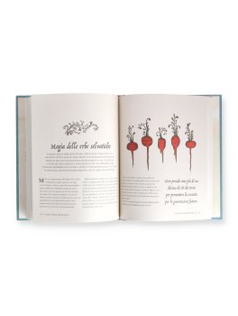La Strega dei Boschi — Libro - 2