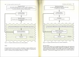 La Terapia Cognitivo-Comportamentale — Libro - 3