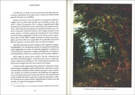 La Terra di Cristo — Libro - 3