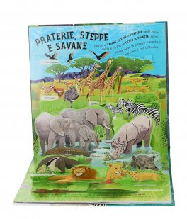 La Terra Pop-Up — Libro - 3
