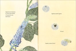La Trasformazione del Bruco — Libro - 4