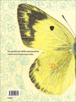 La Trasformazione del Bruco — Libro - 2