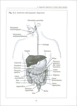 La Vera Causa di Molte Malattie — Libro - 3