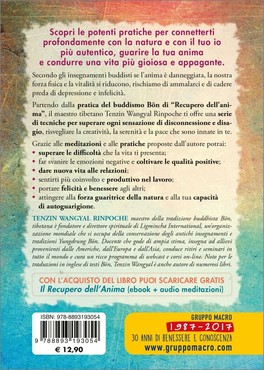 Guarire l'Anima — Libro - 2