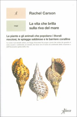 La Vita che Brilla sulla Riva del Mare — Libro - 1