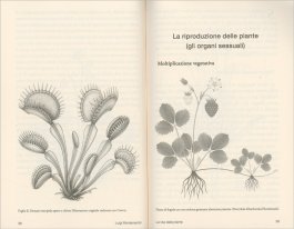 La Vita delle Piante — Libro - 3