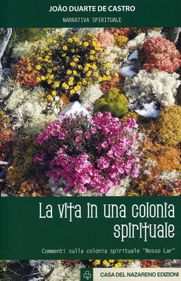 La Vita in una Colonia Spirituale  — Libro - 1