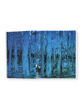 La Vita Segreta degli Alberi — Libro - 3