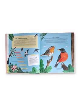 La Vita Segreta degli Uccelli — Libro - 2
