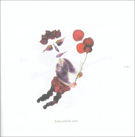 La Vita Segreta dei Fiori — Libro - 3