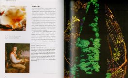La Vita Segreta dei Funghi — Libro - 3