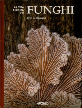 La Vita Segreta dei Funghi — Libro - 1