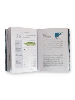 La Vita Segreta dei Pesci — Libro - 4
