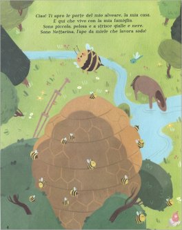 La Vita Segreta delle Api — Libro - 3