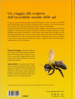 La Vita Segreta delle Api — Libro - 2