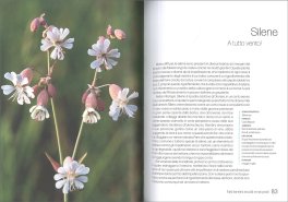 La Vita Sessuale dei Fiori — Libro - 2